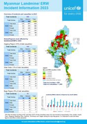 2023年のミャンマーにおける地雷事故報告書（英語）