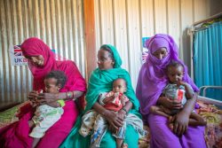 カッサラ州の保健施設で、すぐに食べられる栄養治療食(RUTF)を口にする栄養不良の子どもたち。(スーダン、2024年2月撮影)