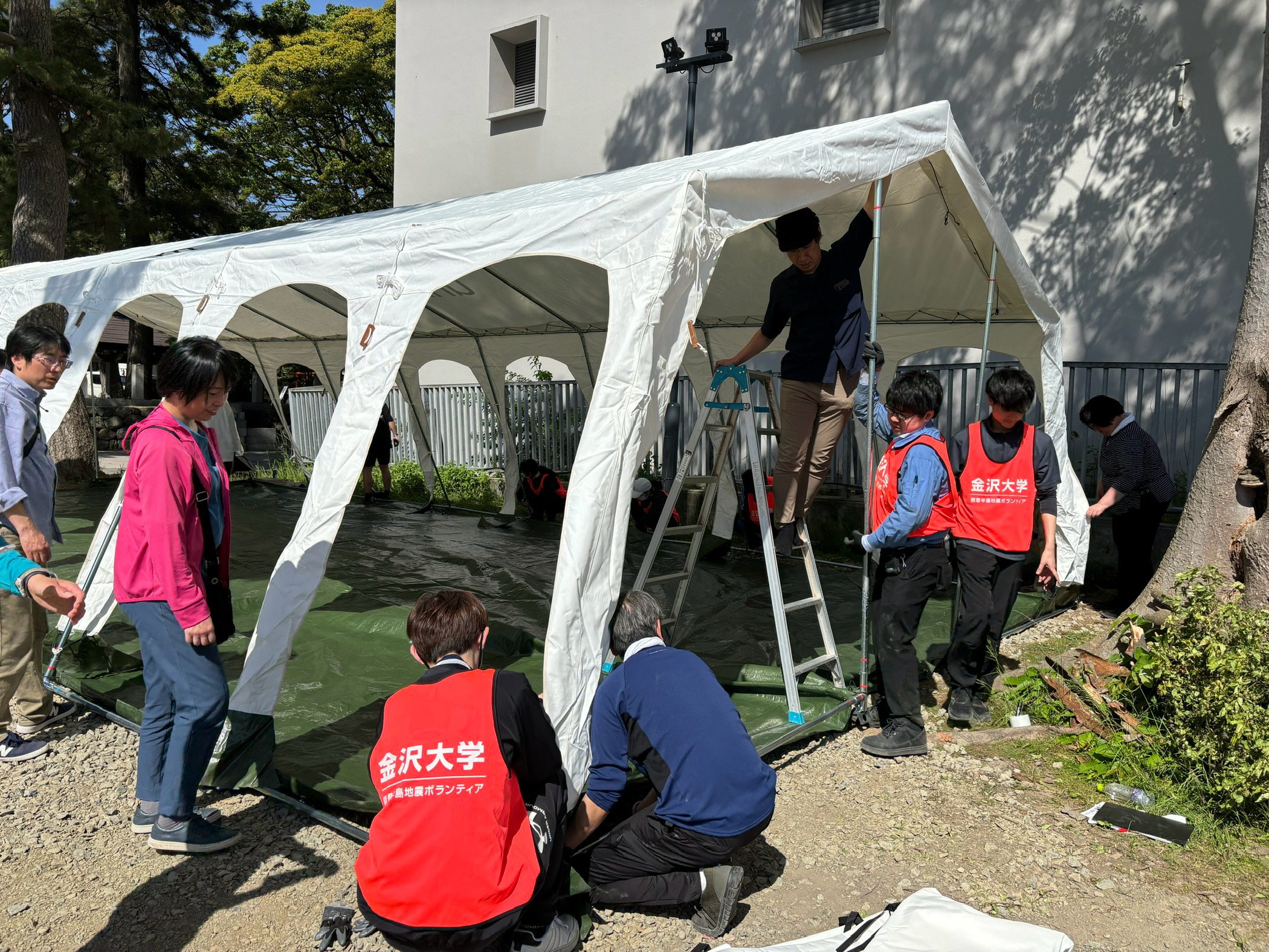 金沢大学学生ボランティアによる、ユニセフの緊急支援用テントの設営。(石川県輪島市重蔵神社、2024年5月11日撮影)