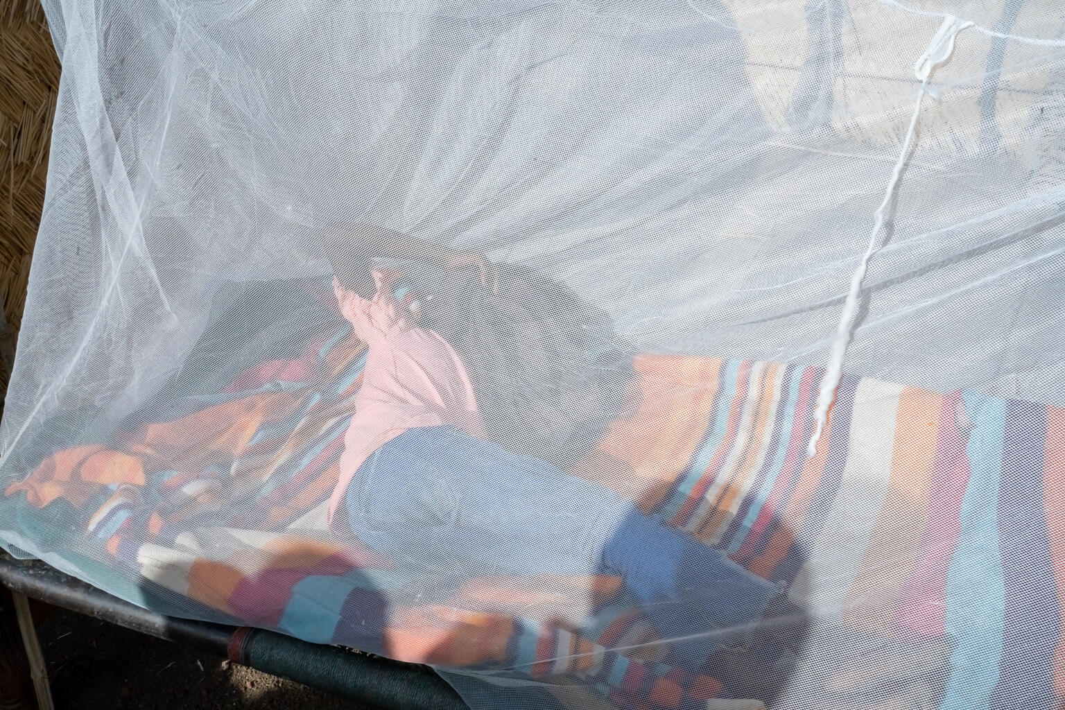 新しい蚊帳の中で眠りにつくテンジルさん（スーダン、2025年5月30日撮影）