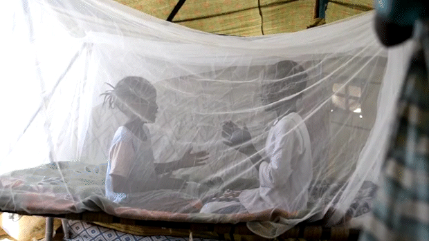 蚊帳に守られて手遊びをする子どもたち（スーダン、2025年8月1日撮影）