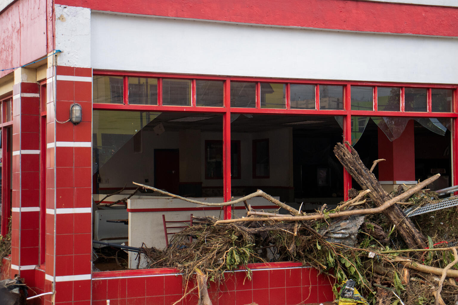 南西部セント・エリザベスで、ハリケーン「メリッサ」がもたらした洪水により、木々が建物になだれ込んでいる様子（ジャマイカ、2025年10月29日撮影）