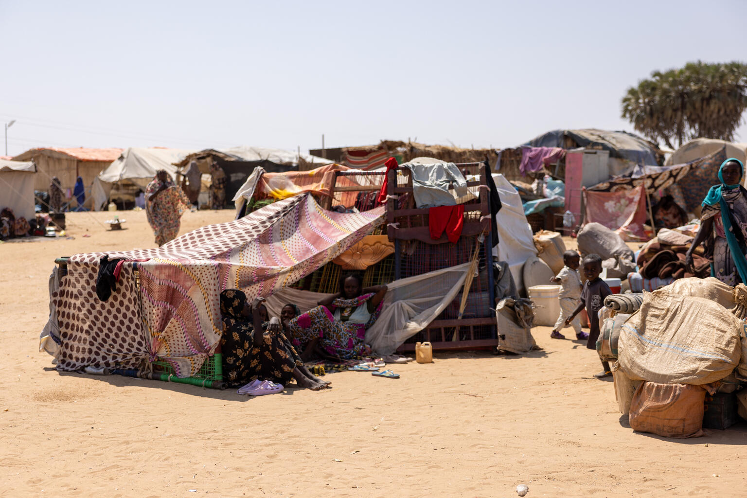 白ナイル州のゴズ・アルサラーム国内避難民キャンプで、コルドファン州から避難してきた家族が寝起きする仮設シェルターの様子（スーダン、2026年2月15日撮影）
