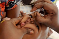 ポリオの予防接種の投与を受ける赤ちゃん。