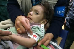 34bc769d-7451-4cec-9ab4-8e01da0133be_800