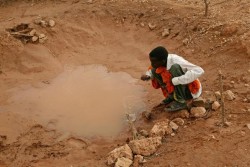 水たまりから水を飲む男の子。（ケニア）