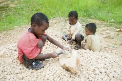 ベロバカの砕石場で働いていた幼い子どもたち。