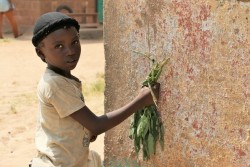 中央アフリカの首都バンギの少女。（2015年11月撮影）※本文との直接の関係はありません。