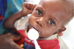 栄養価の高い治療用ミルクを飲むツハフェニくん。