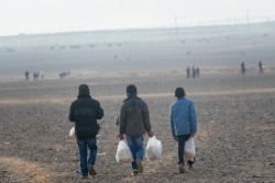 ヨルダンの多くの地域で気温が氷点下になる中、ユニセフは15万人以上のシリアからの子どもたちに越冬支援を届けている。（2016年11月30日）