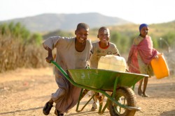 汲んできた水を運ぶ子どもたち (スーダン・北ダルフール) 2017年1月撮影