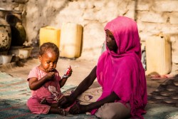 治療食を食べるザラちゃんを見守るアミナちゃん。