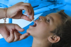 ラッカ近隣の町にある保健センターで、予防接種を受ける男の子(2016年4月撮影)