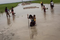 安全を求めてミャンマーからバングラデシュへ逃れてきたロヒンギャ難民の少女と子ども。国境を越えた後、安全な避難場所を求めて、洪水地域や水田を歩いている。