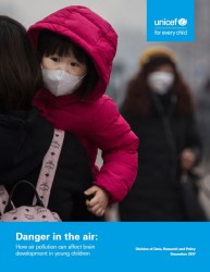 『大気汚染の危険：子どもの脳の発達に及ぼす影響（原題：Danger in the Air: How air pollution can affect brain development in young children）』