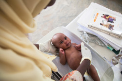 ユニセフが支援するクリニックで体重測定をする、新生児の赤ちゃん（ナイジェリア）。