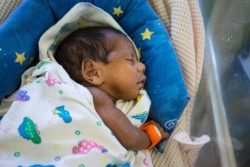 A hypothermia alert device, locally dubbed the Bebi Kol Kilok in Papua New Guinea, fastened on this newborn baby's wrist at the Special Care Nursery in Goroka Hospital, Eastern Highlands Province, signals an alert when the baby's temperature drops so that the mother or care giver can provide kangaroo mother care to warm the baby.