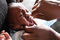 保健センターで予防接種を受けるコンゴ共和国の赤ちゃん。(2019年2月撮影)