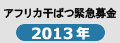 アフリカ干ばつ緊急募金2013年