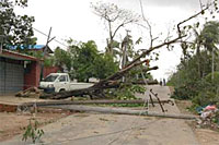 サイクロンの被害を受けた旧首都ヤンゴン市内の状況。