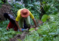 学校までの急な道をよじのぼる