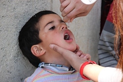 ポリオの予防接種を受ける子ども（トルコ）