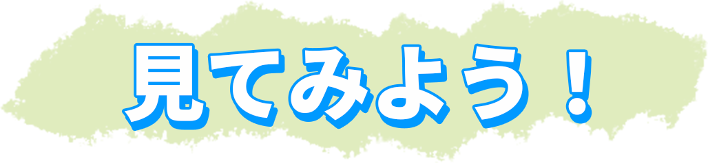 見てみよう！
