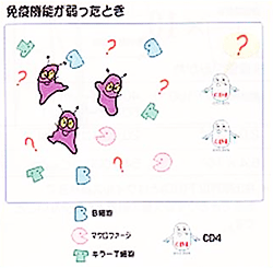 免疫機能が弱ったとき
