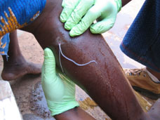 イサヤ君と品川さん