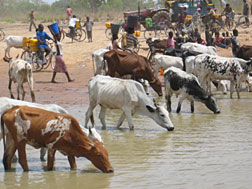 イサヤ君と品川さん