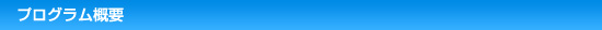 プログラム概要