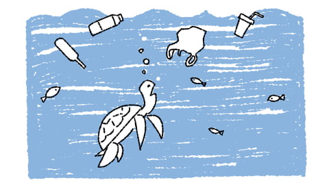 私たちが使っているペットボトルやビニール袋などのプラスチックゴミが年間800万トン、海に流れ出ています。