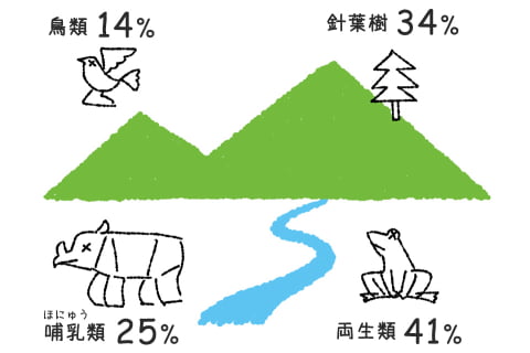 鳥類14％、針葉樹34％、哺乳類25％、両生類41％