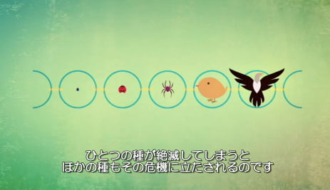 UNESCO:生物多様性の保全を学ぶ