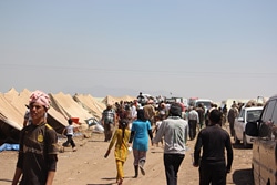 イラクからシリアに逃れてきたヤズディ教徒の方たちは、緊急支援を受けていますが、いっそうの支援が必要です。