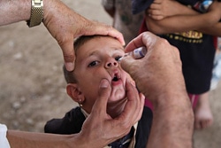 避難所でポリオの予防接種を受ける、ヤズディ教徒の男の子（イラク・2014年8月9日撮影