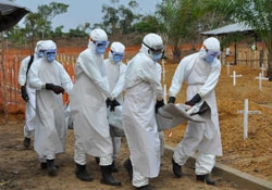 埋葬チームが遺体を最後の安住の地へと搬送する。チームの後ろには、地面を塩素スプレーで消毒する者が控える。