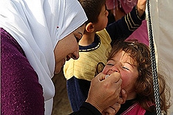 ポリオの予防接種を受ける女の子。（イラク）