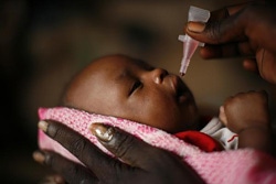 ポリオの予防接種を受ける1歳半の赤ちゃん。