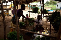 食事を準備するために、市場から食料を購入するロイマさん