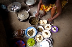 食事を調理してそれぞれの子のために盛り付けするロイマさん