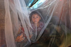 ユニセフがバルワで配布した支援物資のひとつ、蚊帳の中に入って外を見つめるソフィヤ・グランちゃん(3歳)。