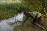 安全でない水源の水を汲むギニアの男の子