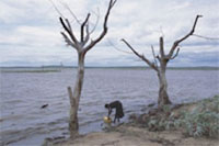 UNICEF/HQ07-0097/Susan Markisz