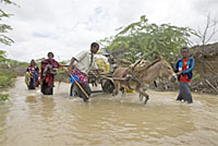 写真：家財道具を抱えて避難民キャンプに移動する人々