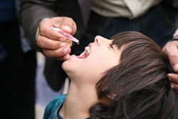 ポリオワクチンの投与を受ける女の子（アフガニスタン）