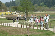 写真：公園内の様子