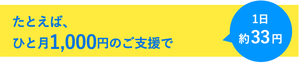 たとえば、ひと月1,000円のご支援で...1日約33円
