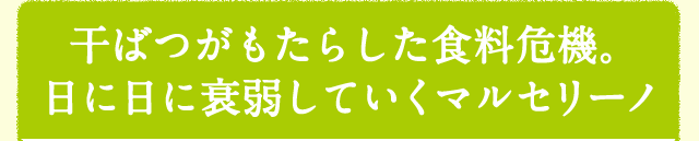 干ばつがもたらした食料危機。日に日に衰弱していくマルセリーノ