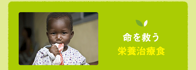 命を救う栄養治療食